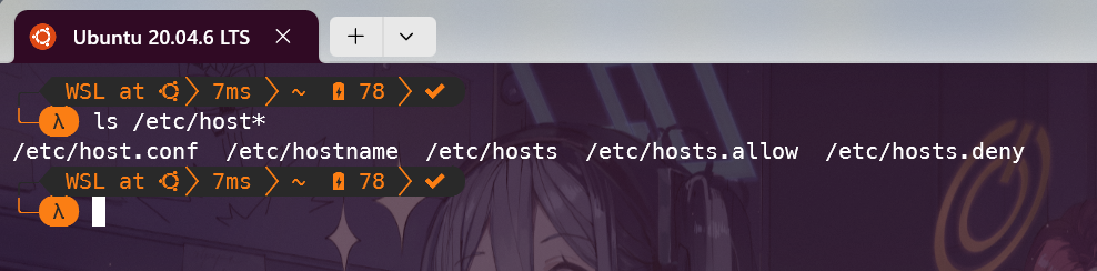 hosts file